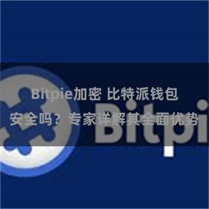 Bitpie加密 比特派钱包安全吗？专家详解其全面优势