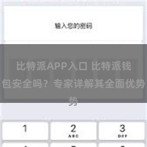 比特派APP入口 比特派钱包安全吗？专家详解其全面优势