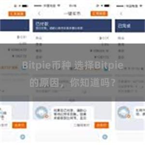 Bitpie币种 选择Bitpie的原因，你知道吗？