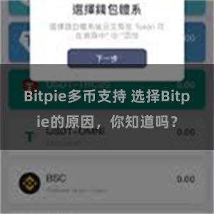 Bitpie多币支持 选择Bitpie的原因，你知道吗？