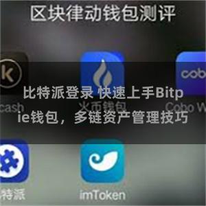 比特派登录 快速上手Bitpie钱包，多链资产管理技巧