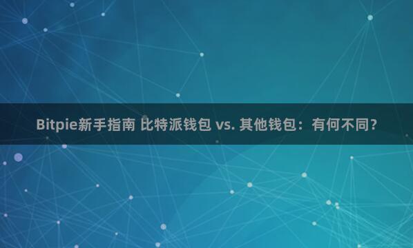 Bitpie新手指南 比特派钱包 vs. 其他钱包：有何不同？