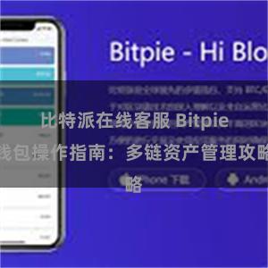 比特派在线客服 Bitpie钱包操作指南：多链资产管理攻略