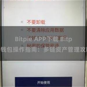 Bitpie APP下载 Bitpie钱包操作指南：多链资产管理攻略