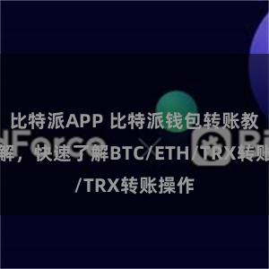 比特派APP 比特派钱包转账教程详解，快速了解BTC/ETH/TRX转账操作