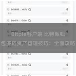 Bitpie客户端 比特派钱包多链资产管理技巧：全面攻略