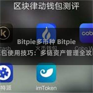 Bitpie多币种 Bitpie钱包使用技巧：多链资产管理全攻略