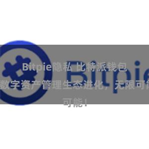 Bitpie隐私 比特派钱包：数字资产管理生态进化，无限可能！