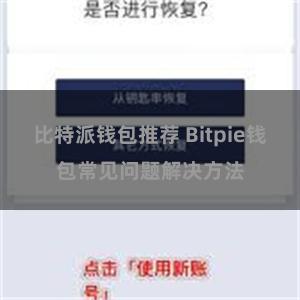 比特派钱包推荐 Bitpie钱包常见问题解决方法