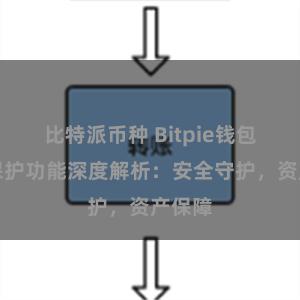 比特派币种 Bitpie钱包隐私保护功能深度解析：安全守护，资产保障