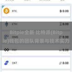 Bitpie全新 比特派(Bitpie)钱包的团队背景与技术实力